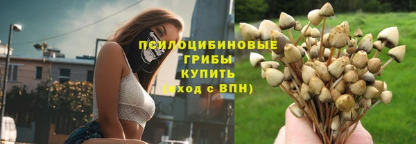 амф Покачи