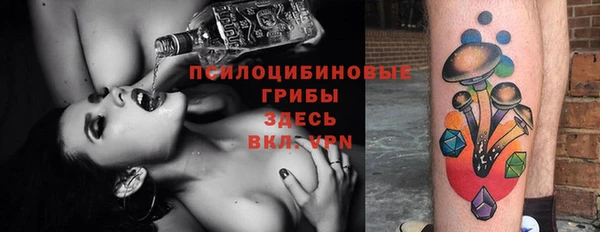эйфоретик Кущёвская