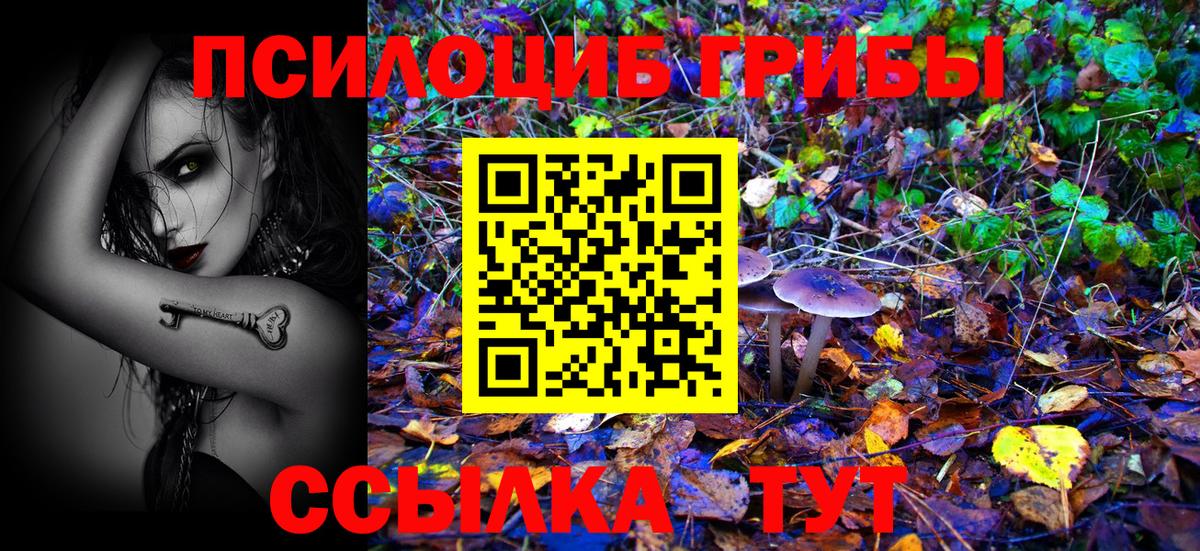 Псилоцибиновые грибы MAGIC MUSHROOMS Коммунар