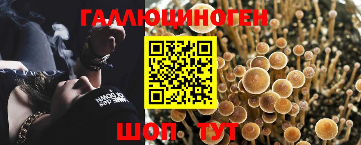 Псилоцибиновые грибы мицелий  Вход с VPN  Галлюциногенные грибы мицелий  Коммунар 